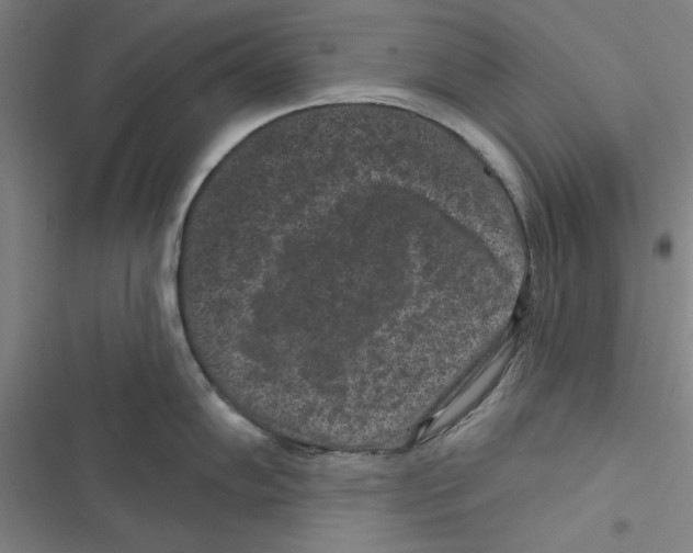 X0000116771102201001141445