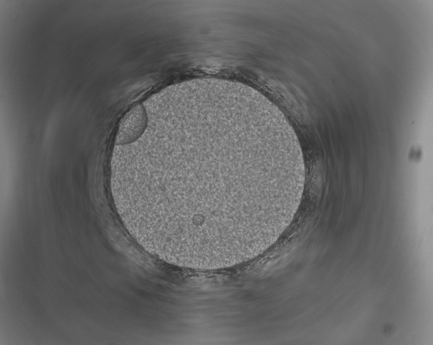 X0000116771105201001141445