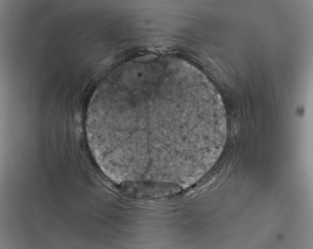 X0000116771106201001141445