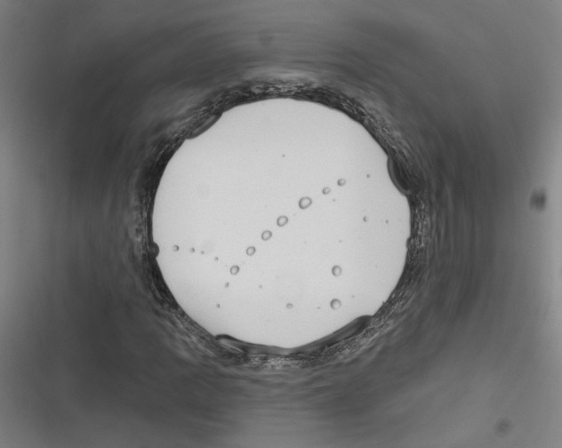 X0000116771109201001141445