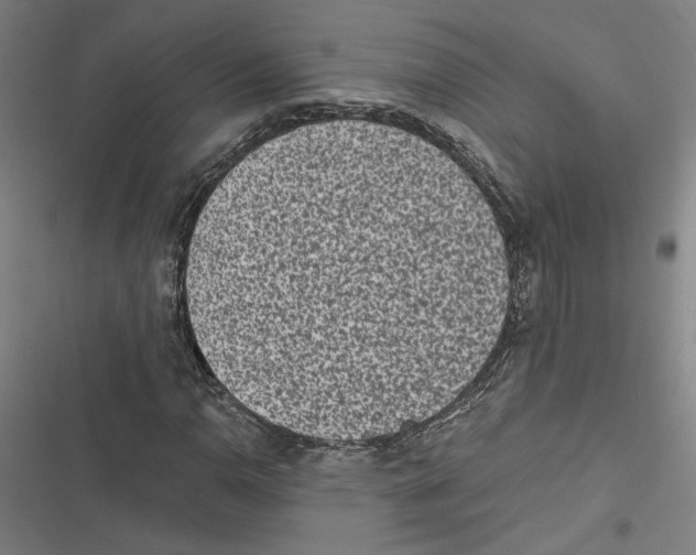 X0000116771110201001141445