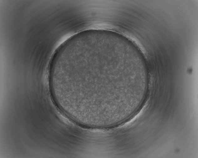 X0000116771114201001141445