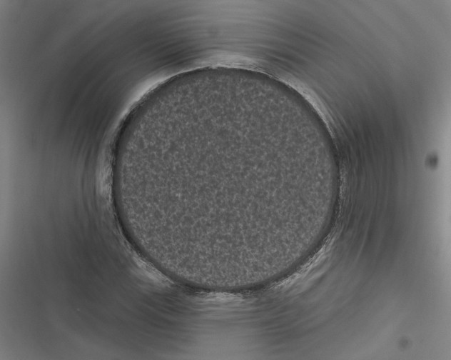 X0000116771115201001141445