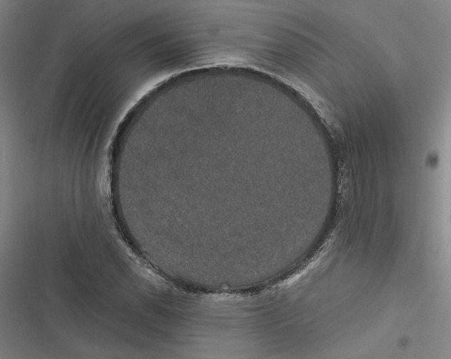 X0000116771118201001141445