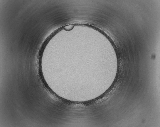 X0000116771119201001141445