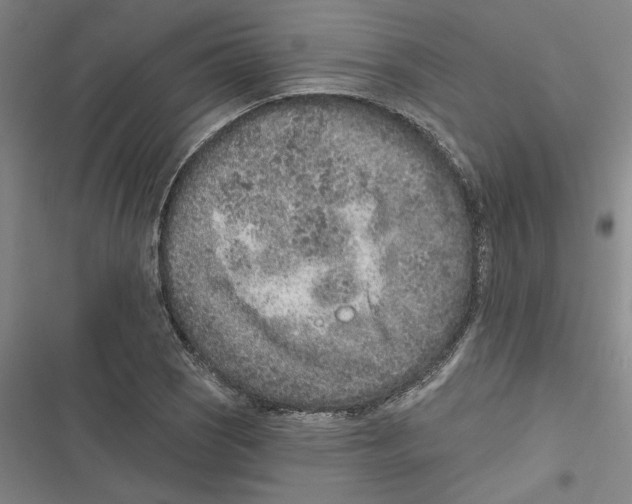 X0000116771121201001141445