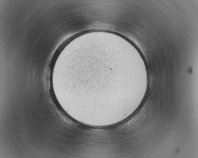 X0000116771123201001141445