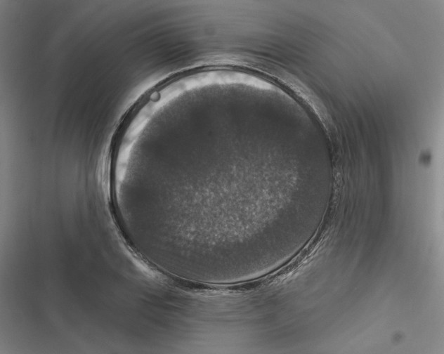X0000116771127201001141445