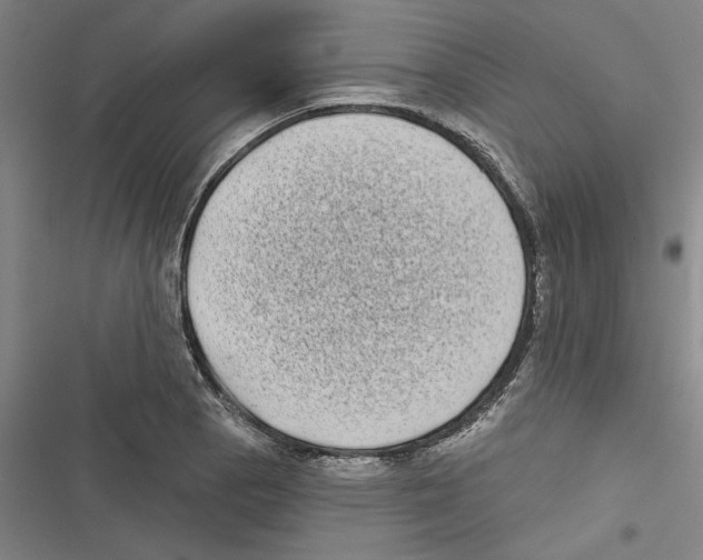 X0000116771129201001141445