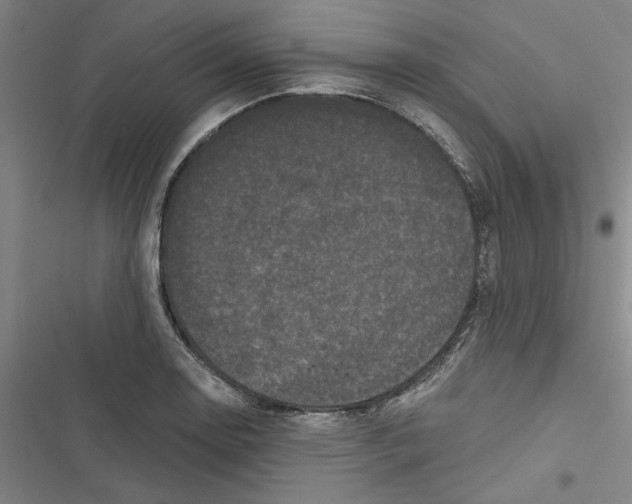 X0000116771130201001141445