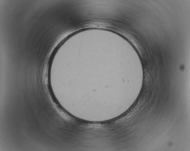 X0000116771131201001141445