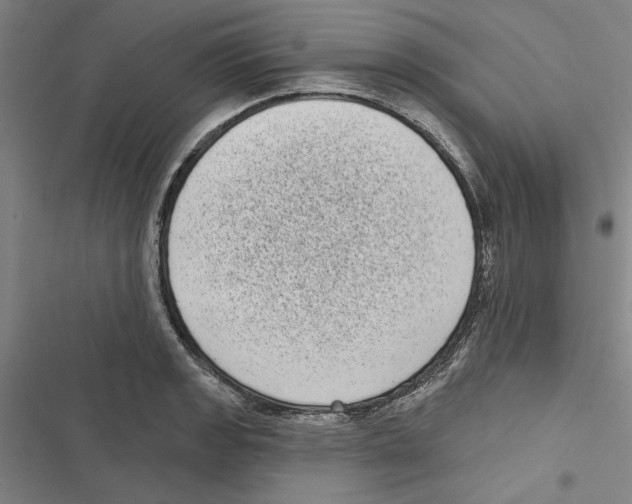 X0000116771133201001141445