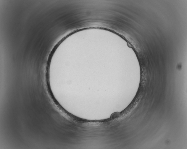 X0000116771134201001141445