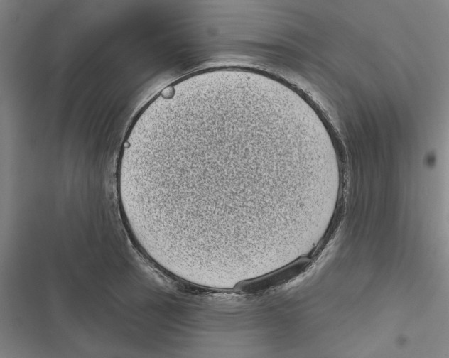 X0000116771137201001141445