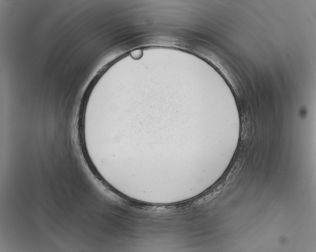 X0000116771139201001141445