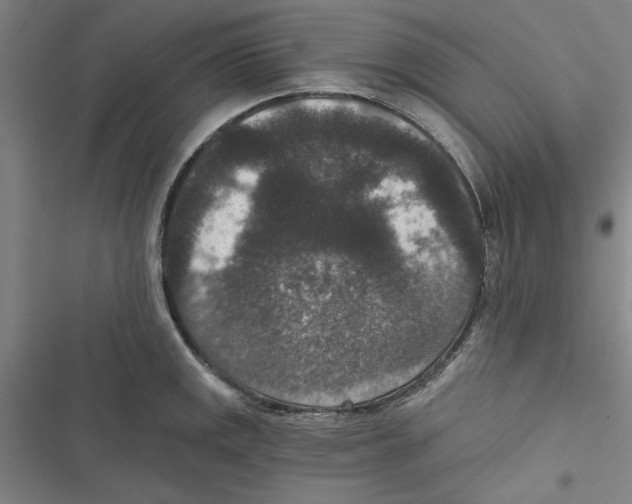 X0000116771141201001141445