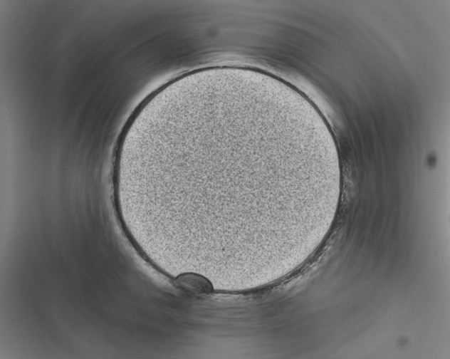 X0000116771142201001141445
