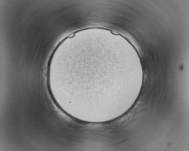 X0000116771143201001141445