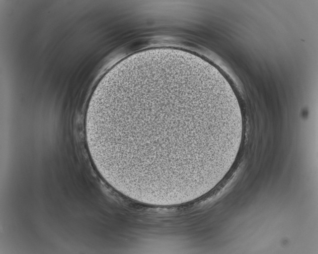 X0000116771145201001141445