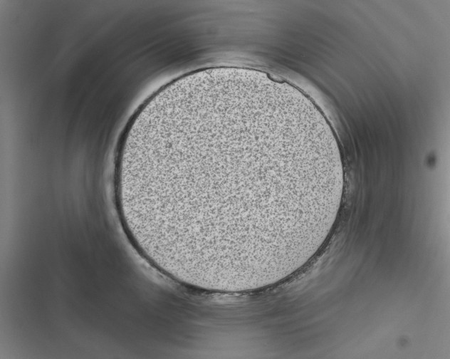 X0000116771147201001141445