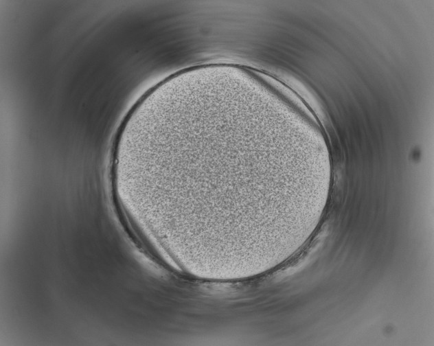 X0000116771149201001141445