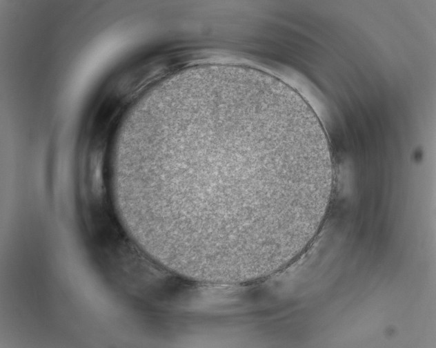 X0000116771150201001141445