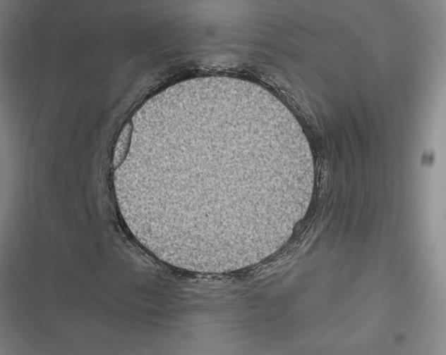 X0000116771153201001141445