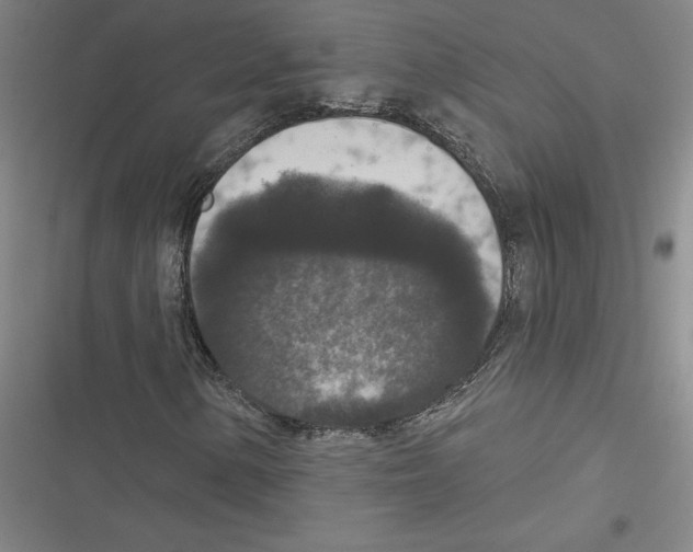 X0000116771154201001141445