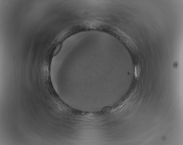 X0000116771155201001141445