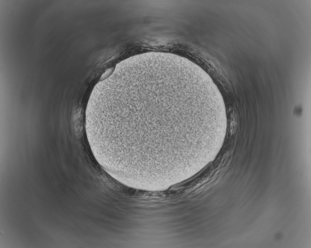X0000116771156201001141445