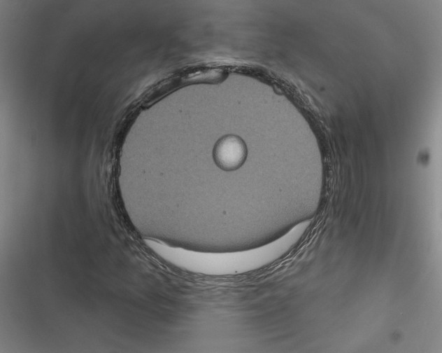 X0000116771157201001141445