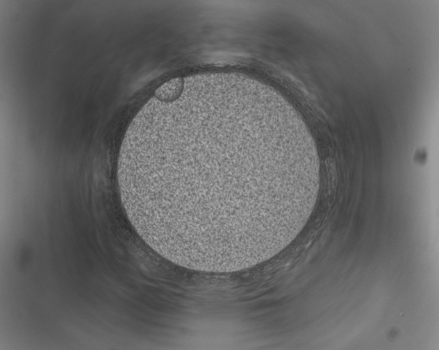 X0000116771158201001141445