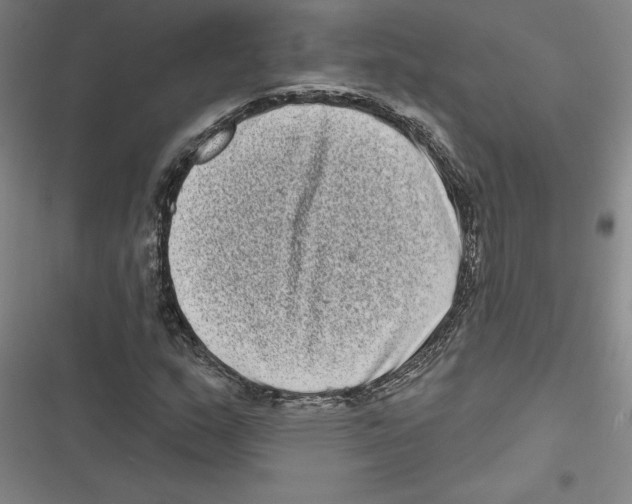 X0000116771159201001141444