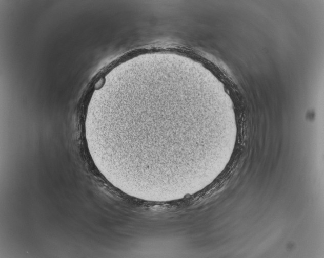 X0000116771160201001141444