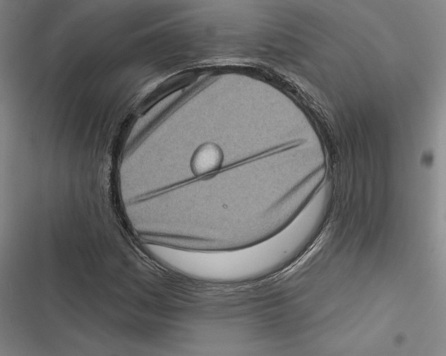 X0000116771161201001141444