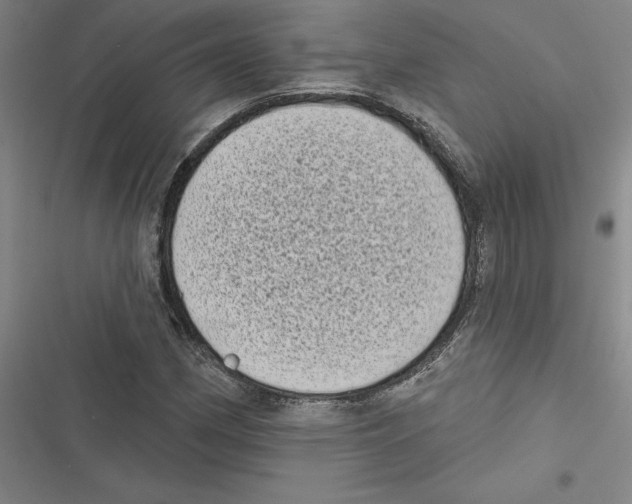 X0000116771162201001141444