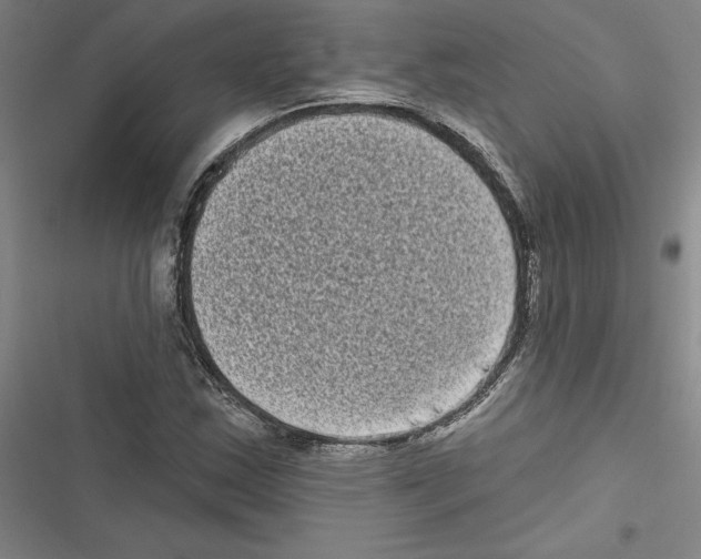 X0000116771163201001141444