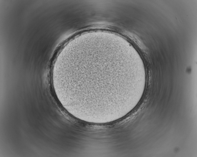 X0000116771164201001141444