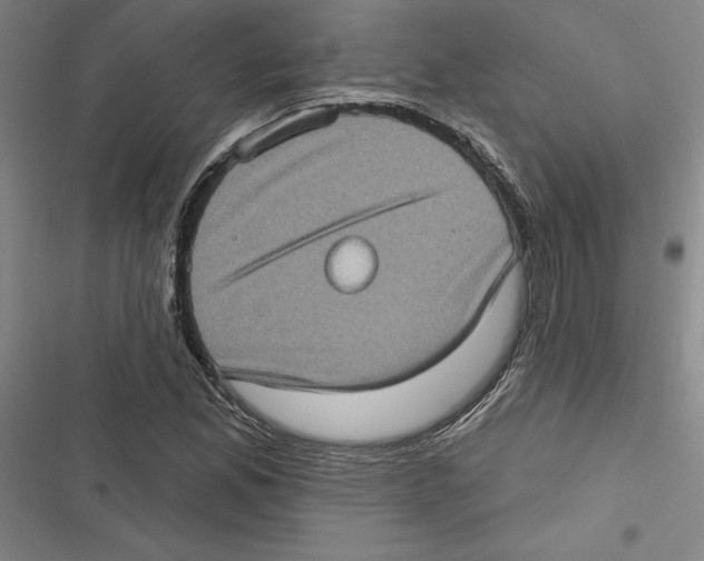 X0000116771165201001141444