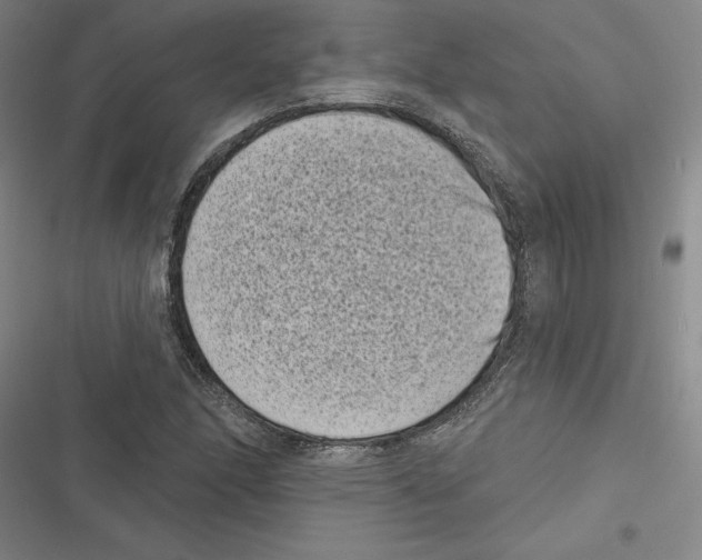 X0000116771166201001141444