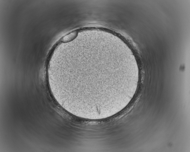 X0000116771167201001141444