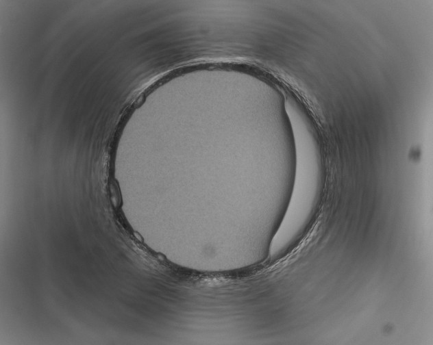 X0000116771169201001141444