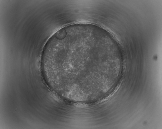 X0000116771170201001141444