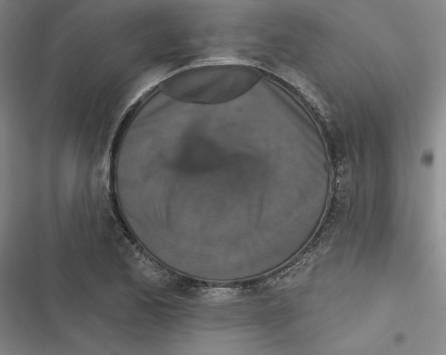 X0000116771173201001141444