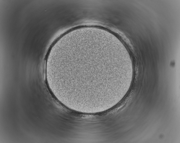 X0000116771175201001141444