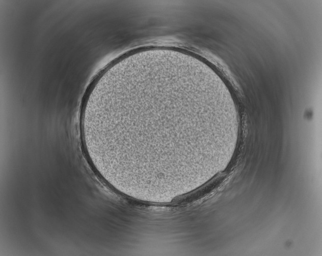 X0000116771176201001141444