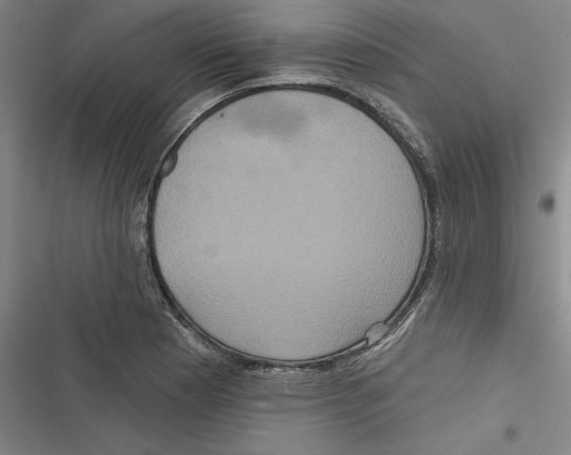 X0000116771177201001141444