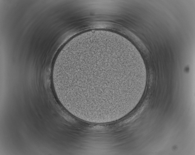 X0000116771178201001141444