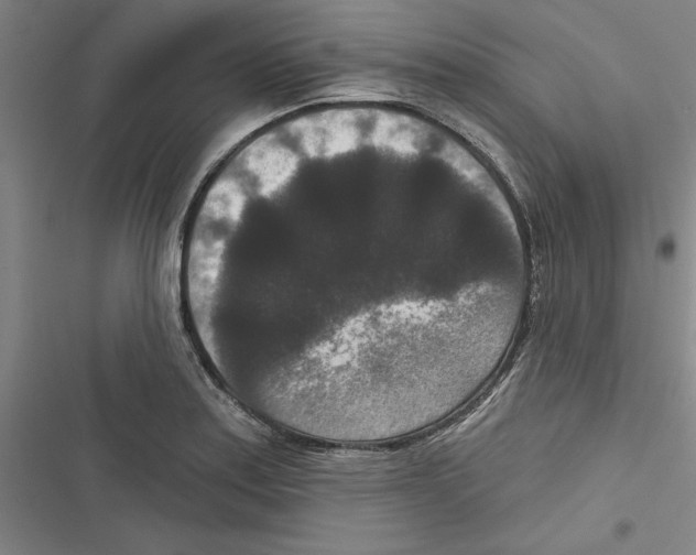X0000116771179201001141444