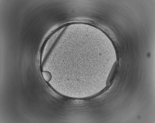 X0000116771180201001141444